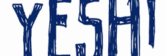 logo yesh